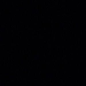 Meet your Posher, Madeline